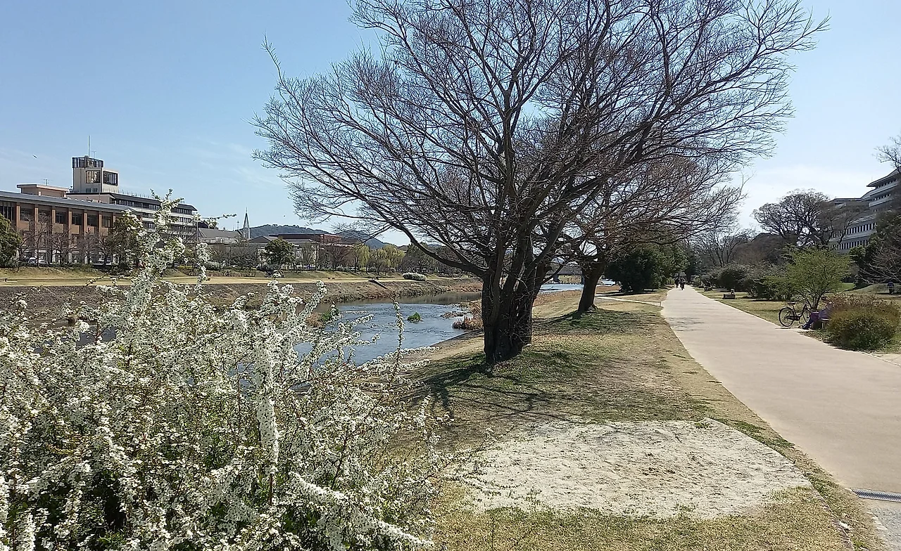 SE-9ad24faf-8d1e-4426-8248-e74e67fc512b.jpg?type=w1600