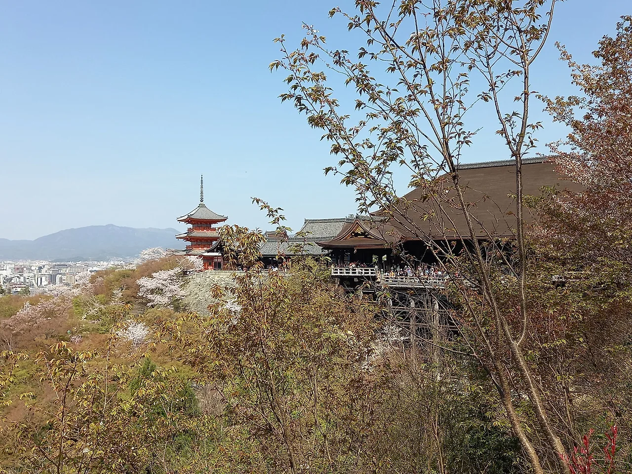 20230330_100654.jpg?type=w1600