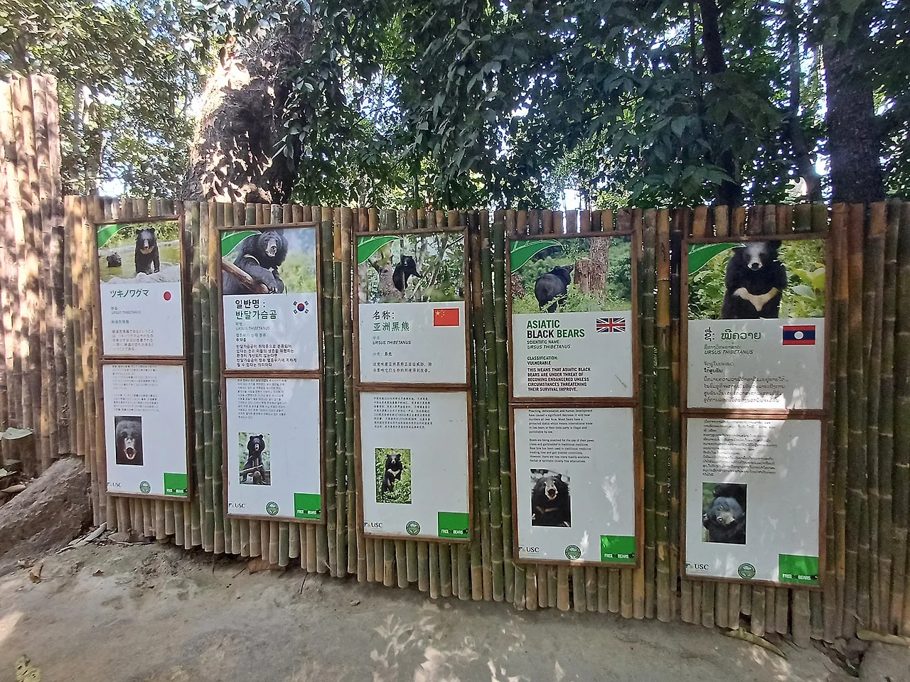 20250101_130451.jpg?type=w1600