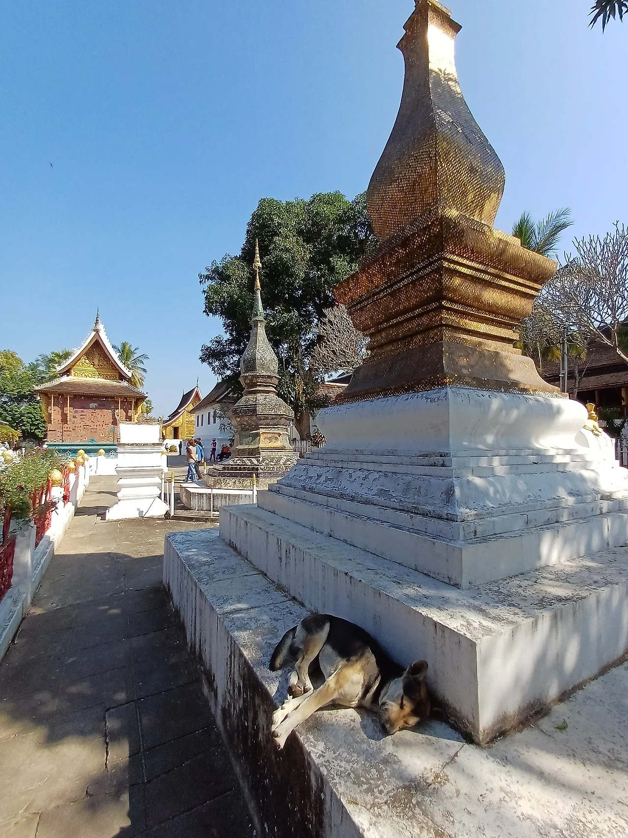 20241223_133848.jpg?type=w1600