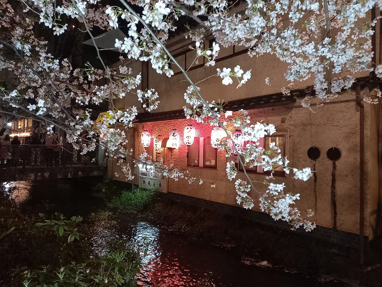 20230327_194312.jpg?type=w1600