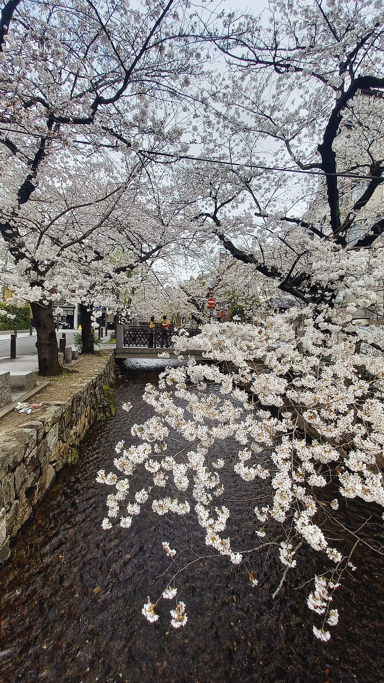 20230324_093744.jpg?type=w1600