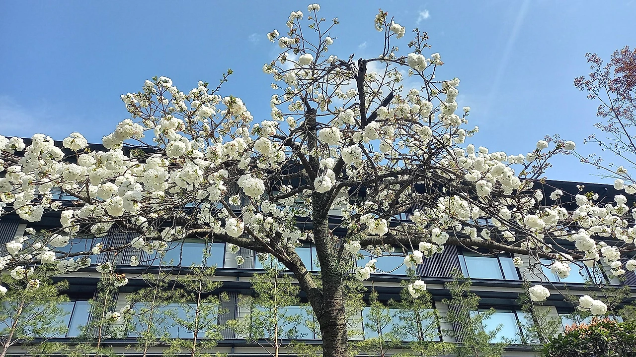 20230331_133102.jpg?type=w1600