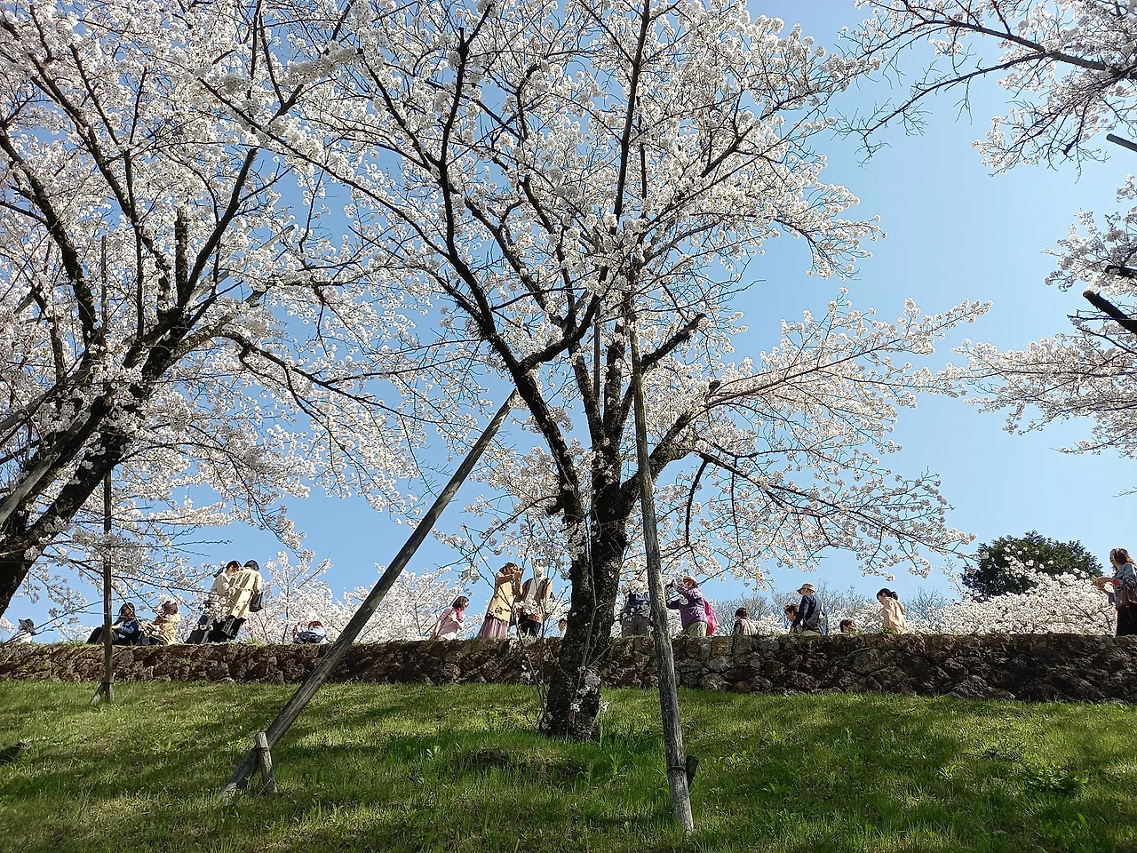 20230328_102000.jpg?type=w1600