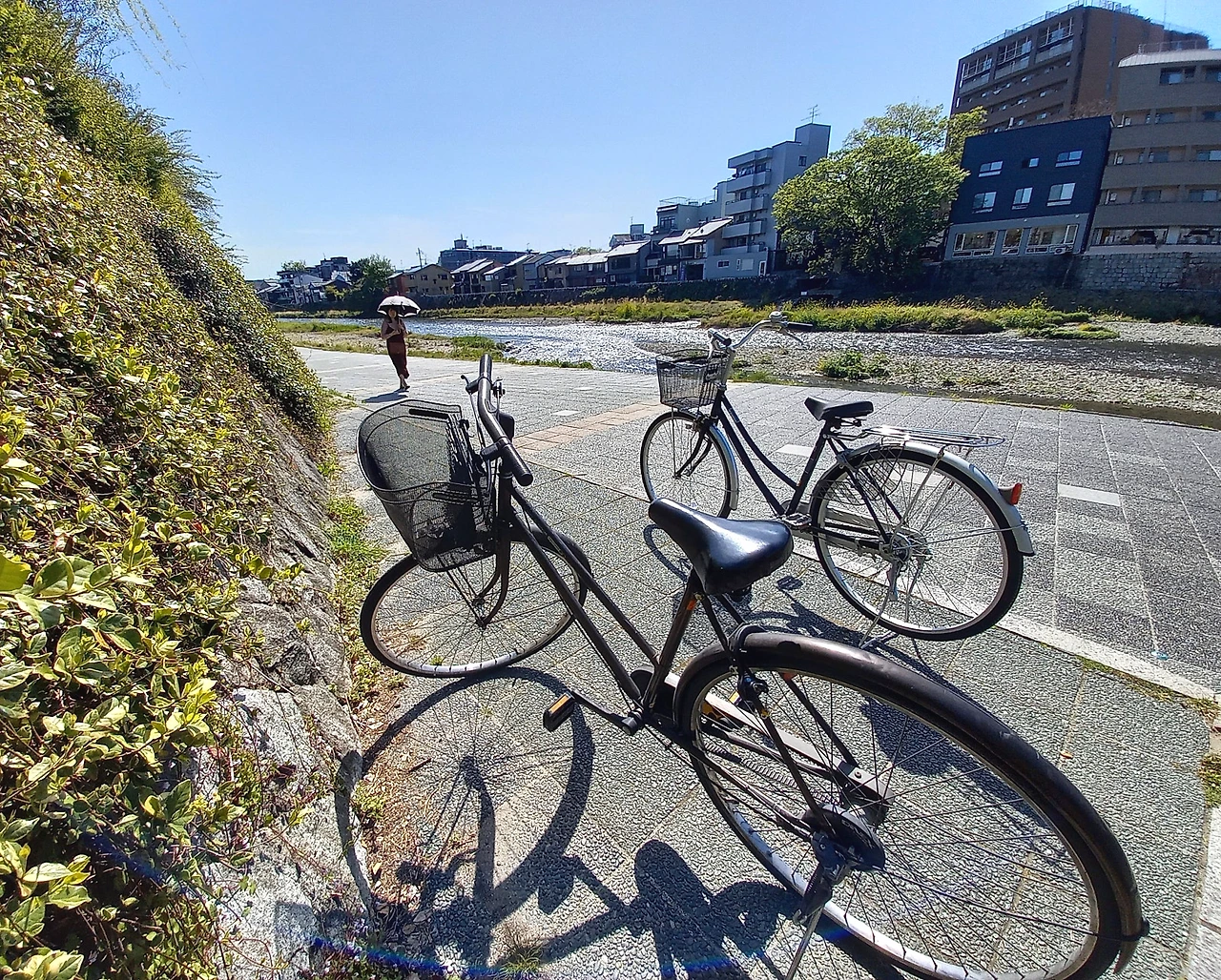 SE-d4b69ef4-8661-4c17-b557-ffd5fa367859.jpg?type=w1600