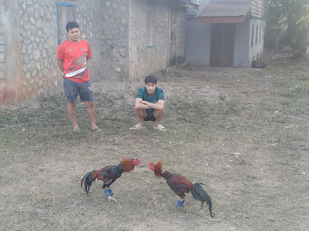 20241226_170919.jpg?type=w1600