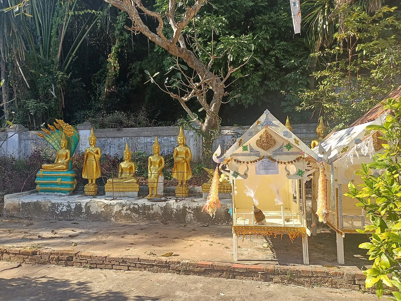 20241226_144003.jpg?type=w1600