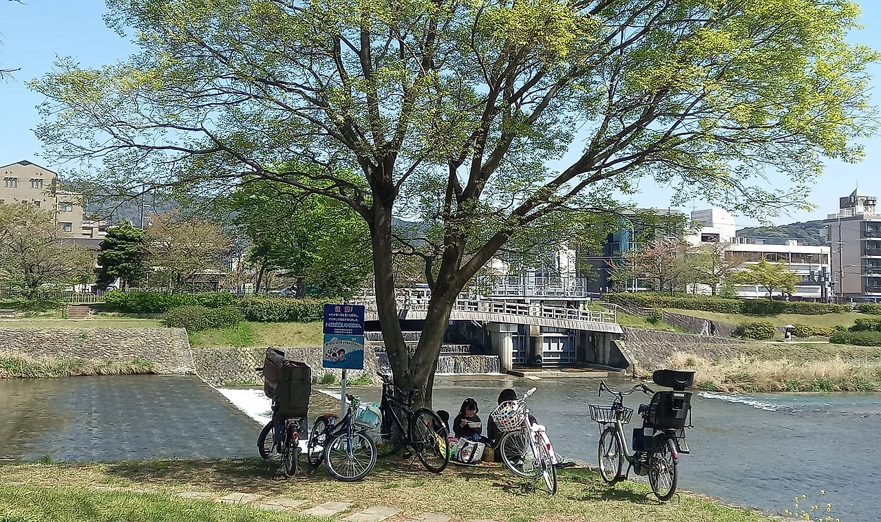 SE-81c895c1-1929-4390-b468-de5bc5176a33.jpg?type=w1600