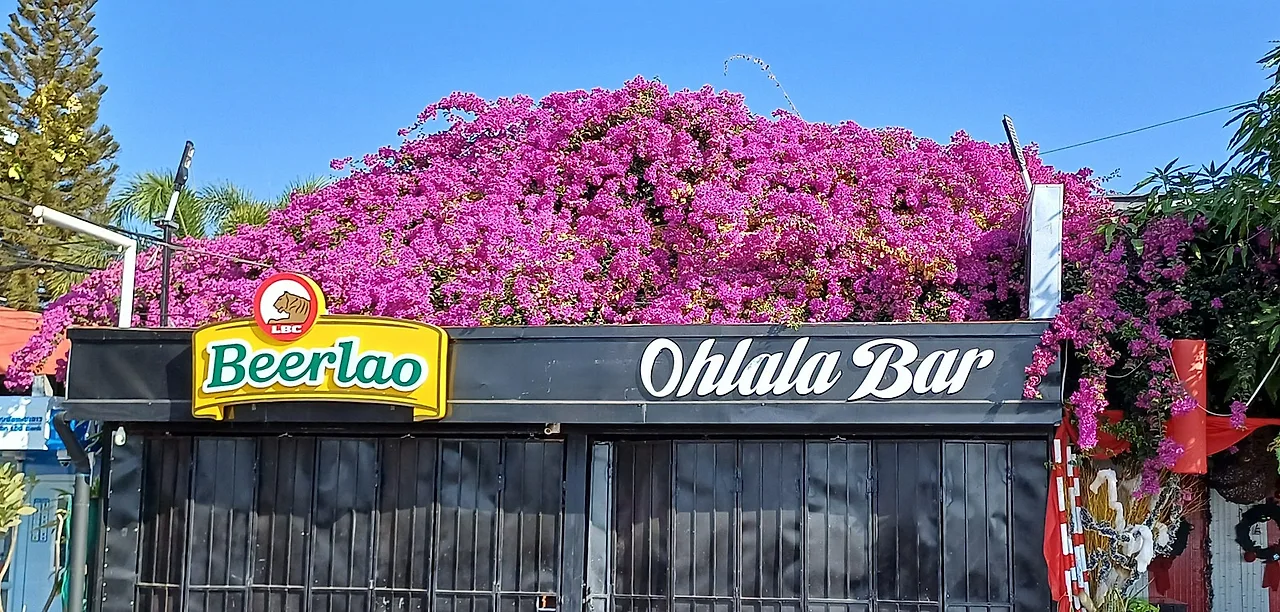 SE-c5d26a63-ddb4-493b-a8c7-f7129de25245.jpg?type=w1600