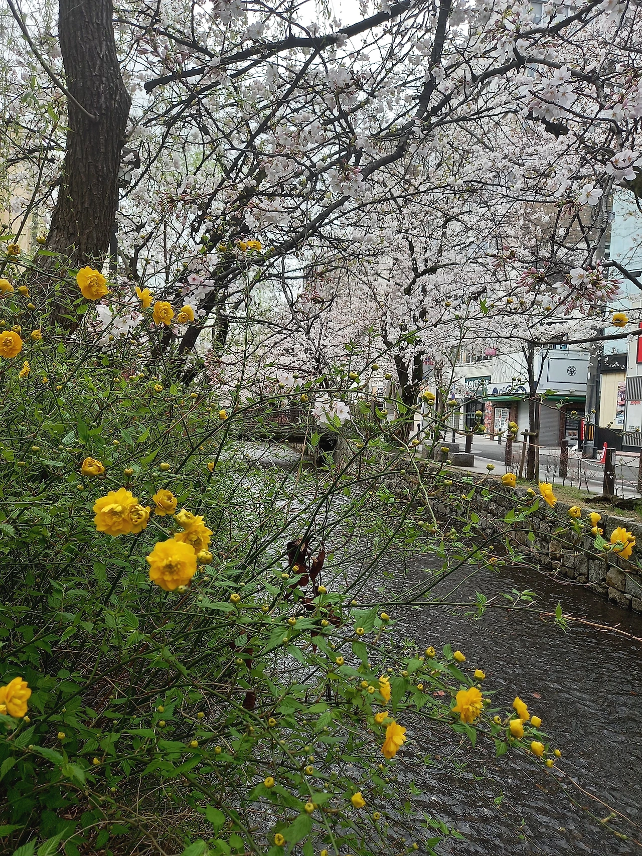 20230324_094250.jpg?type=w1600