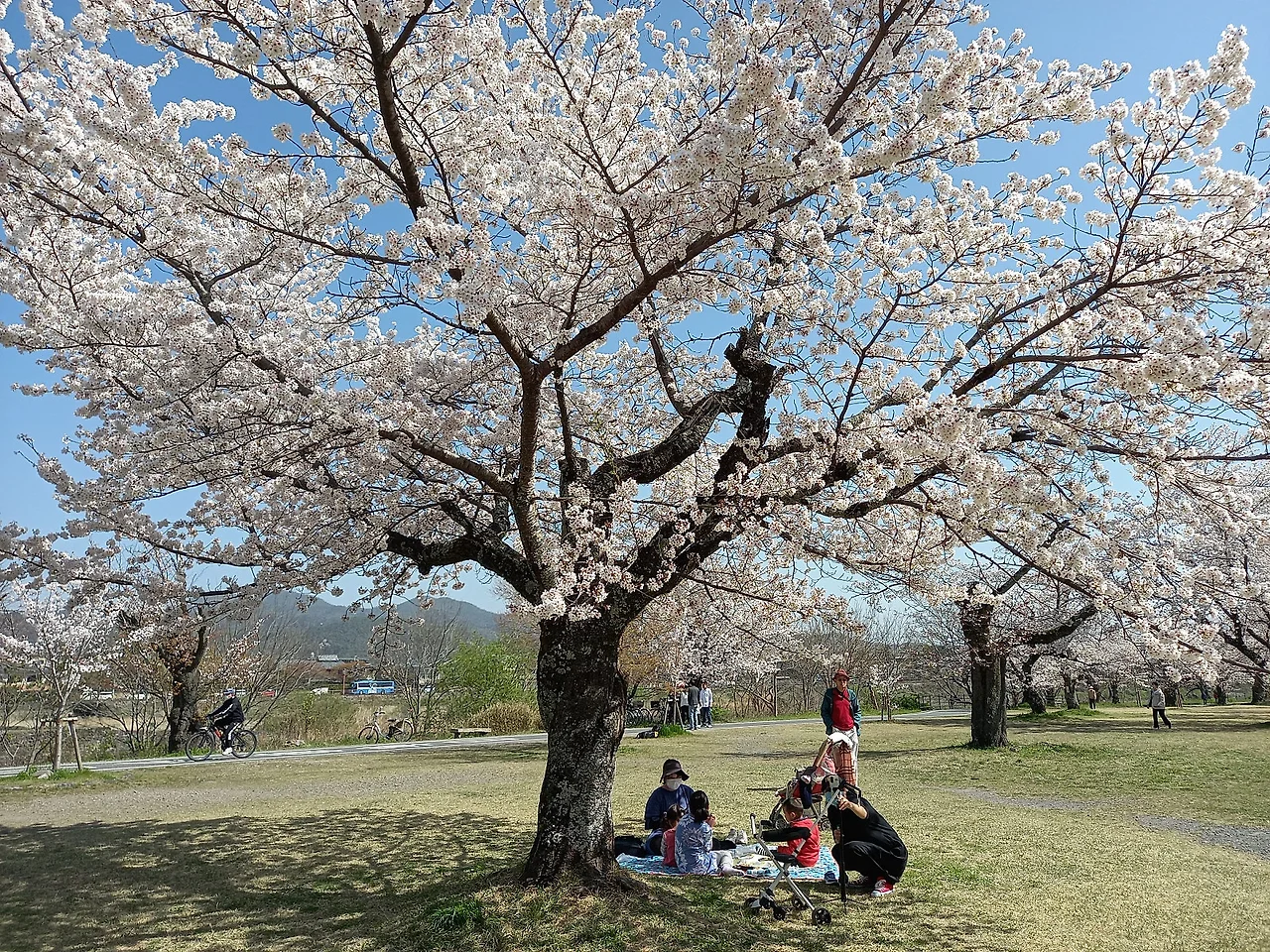 20230329_101504.jpg?type=w1600