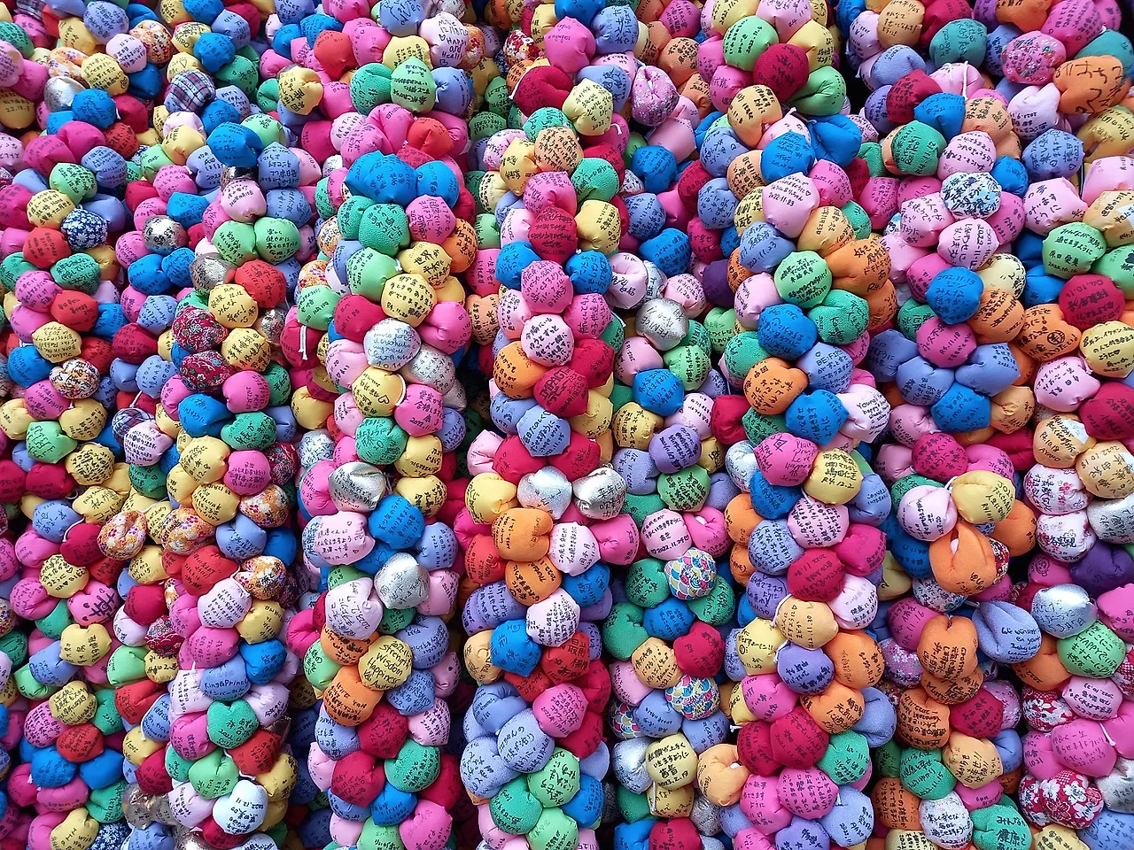 20230324_123546.jpg?type=w1600