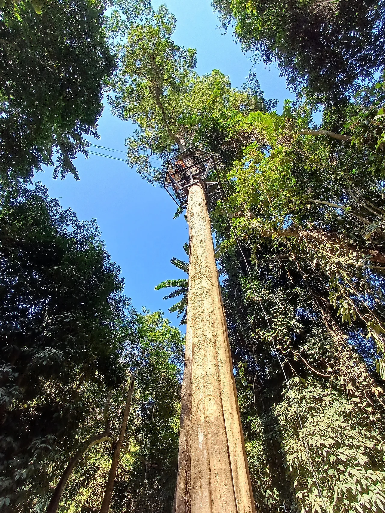 20250101_133813.jpg?type=w1600