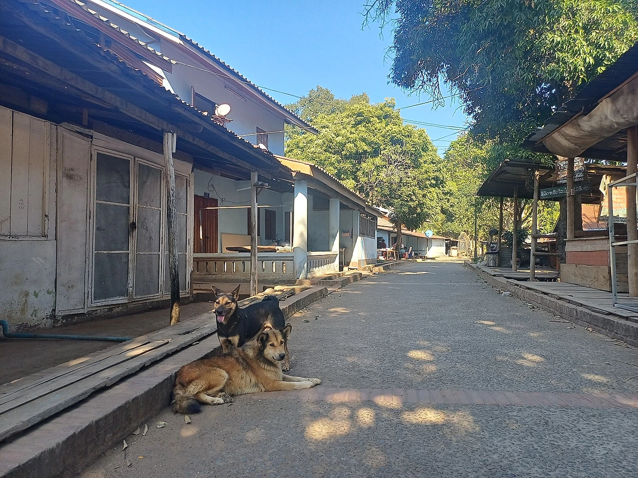 20241226_144924.jpg?type=w1600