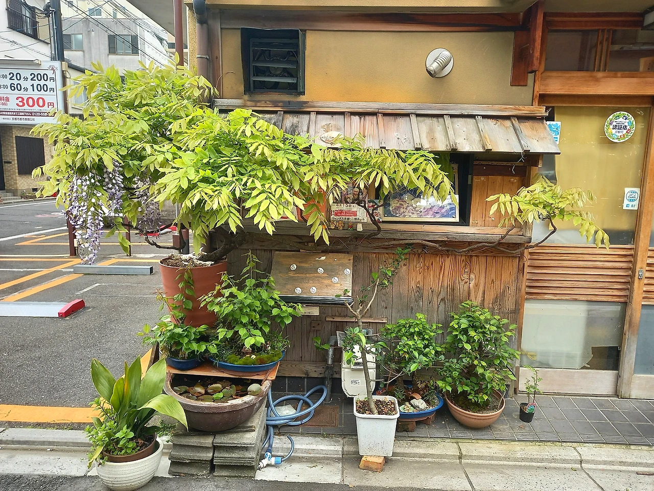 20230412_084834.jpg?type=w1600