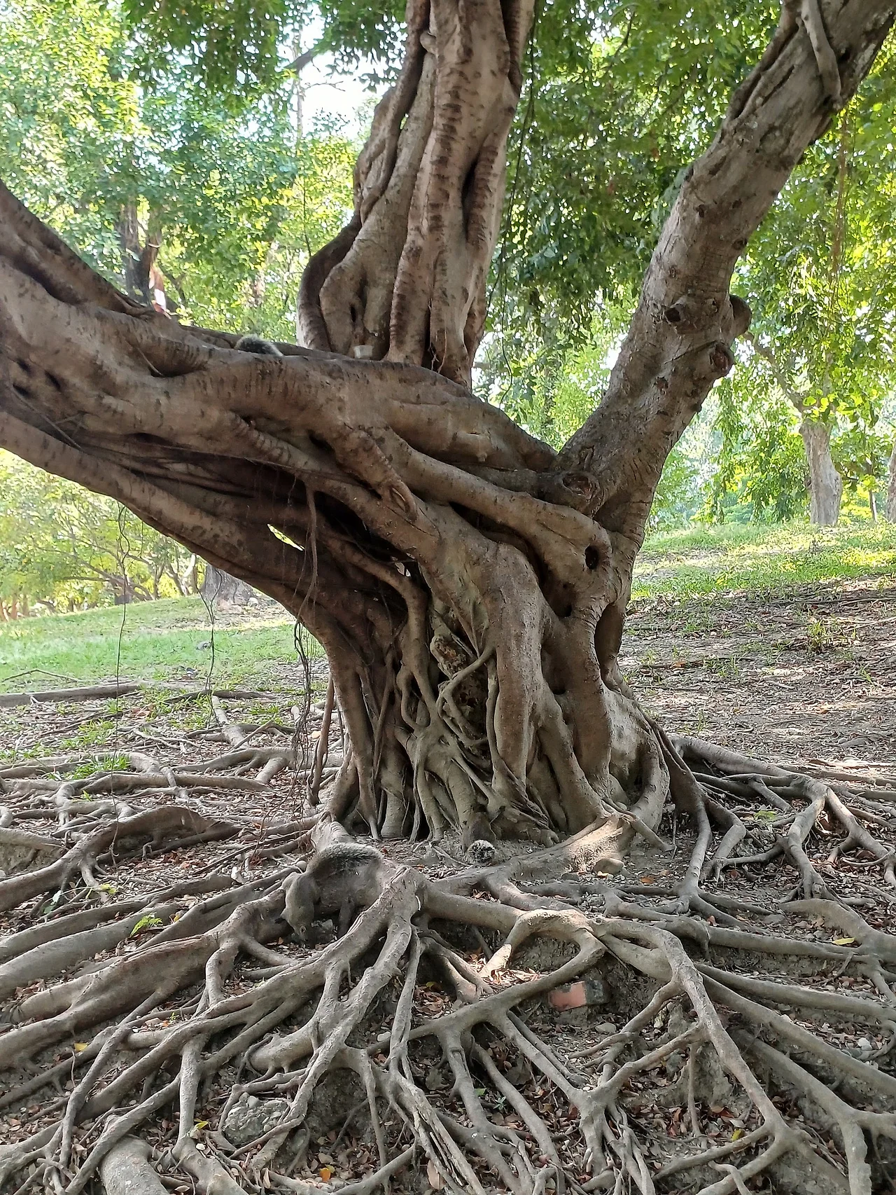 20231102_115910.jpg?type=w1600