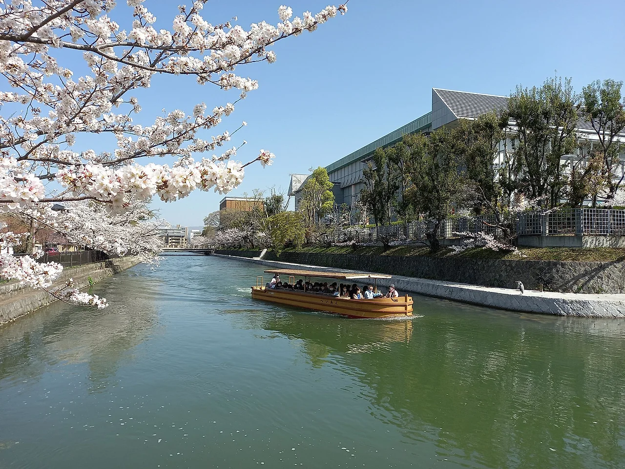 20230328_094813.jpg?type=w1600