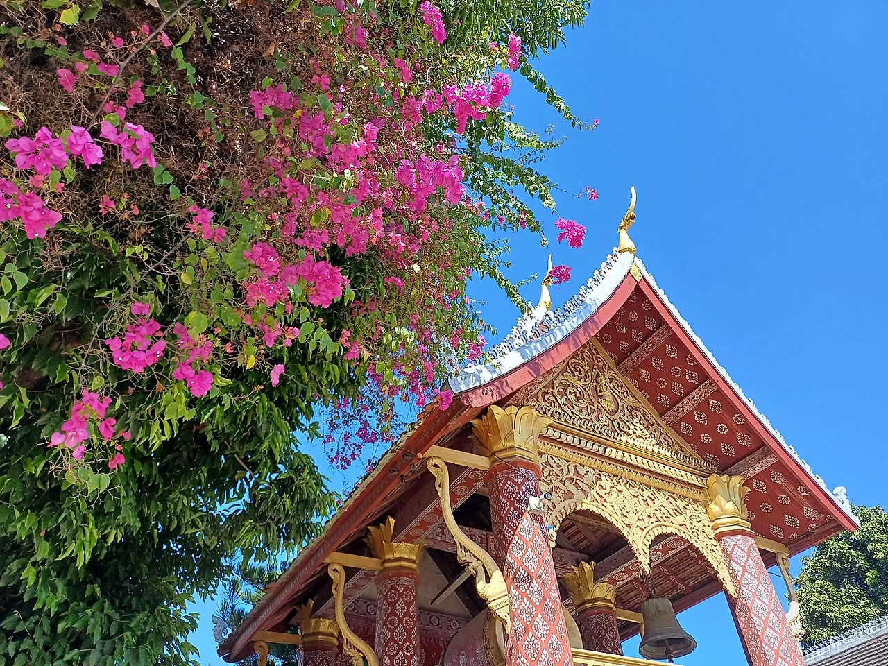 20241227_114922.jpg?type=w1600