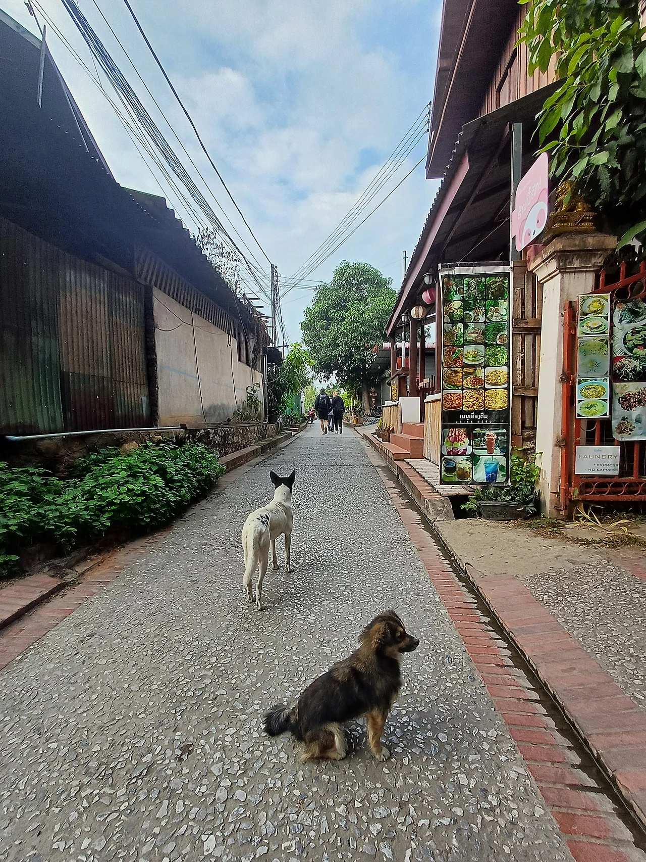 20241221_081504.jpg?type=w1600