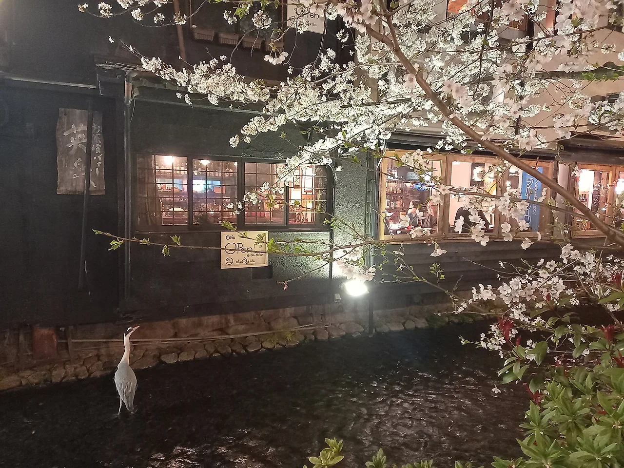 20230327_194153.jpg?type=w1600