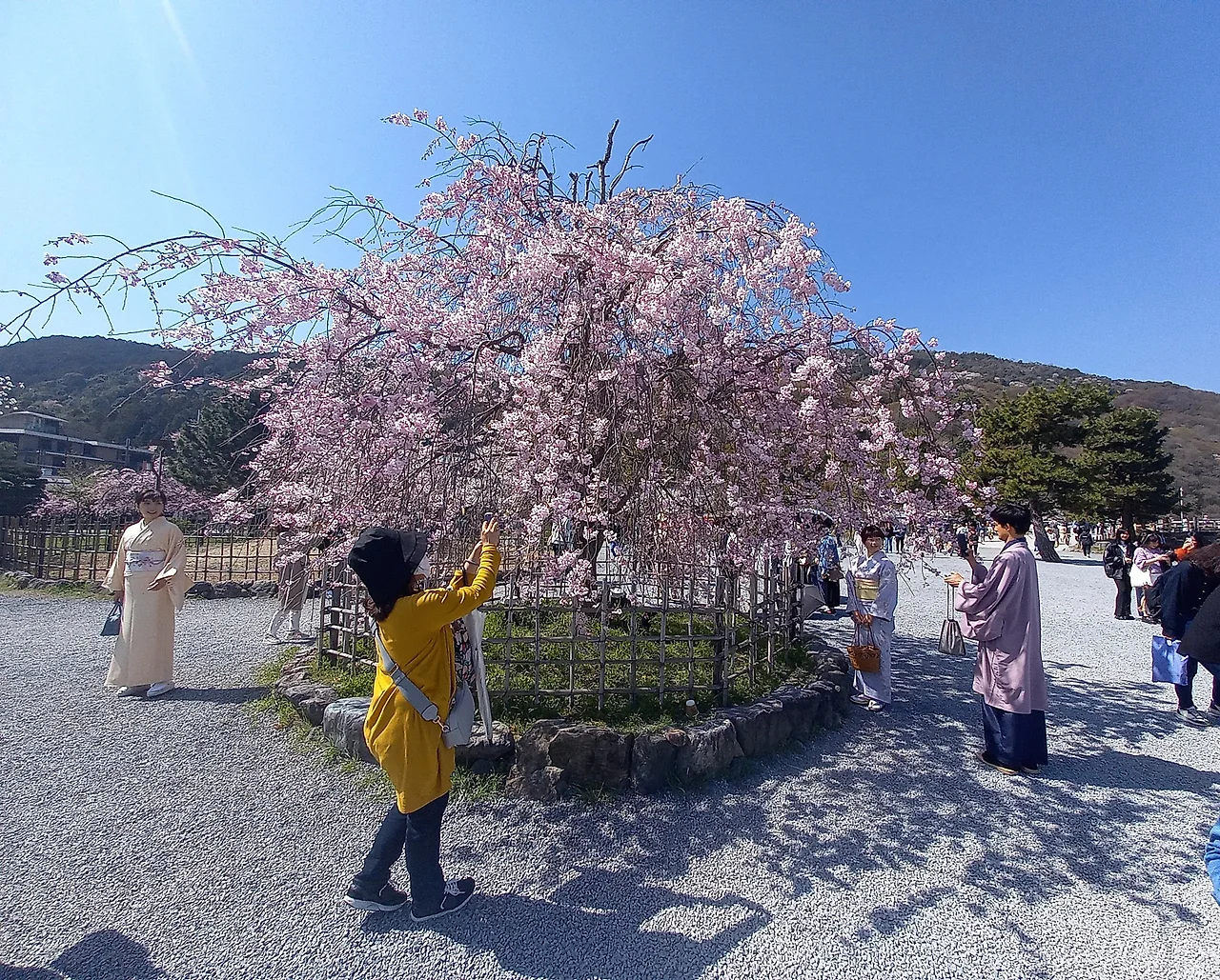 20230329_103533.jpg?type=w1600