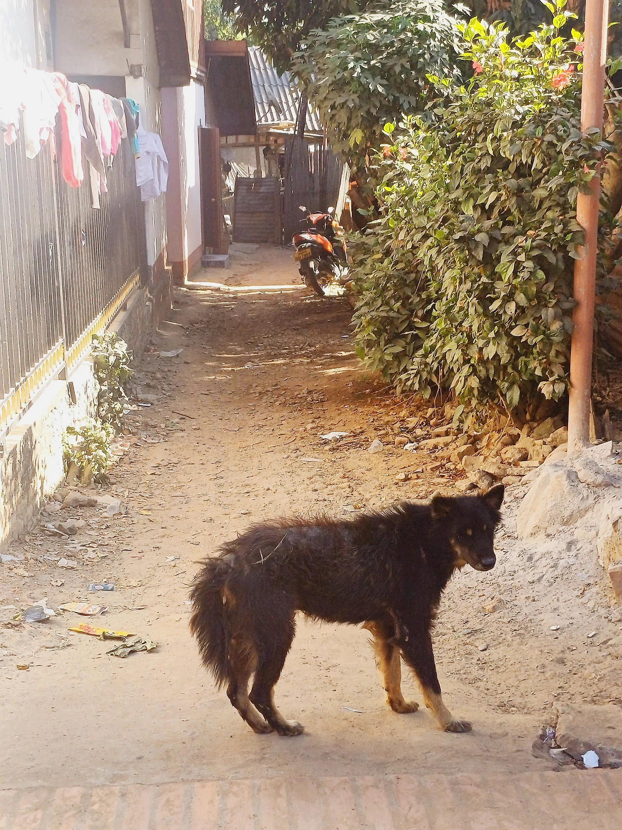 20241226_143342.jpg?type=w1600