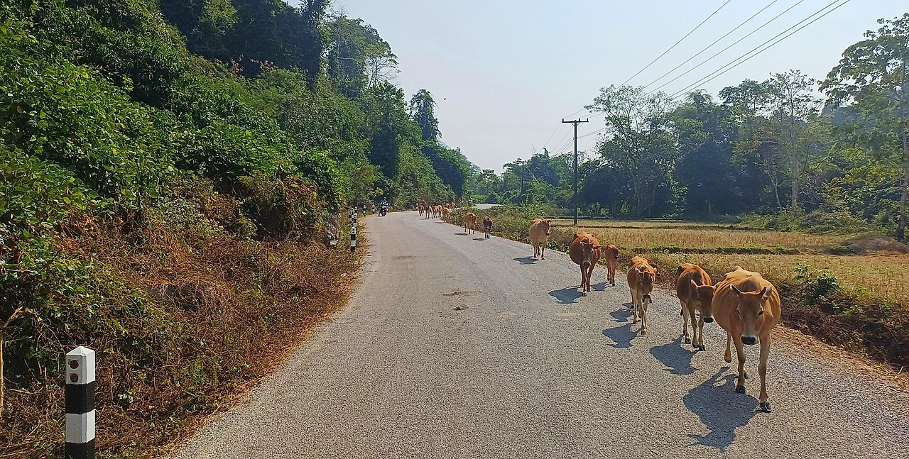 SE-15bf0a87-e4f3-4bd5-81ce-c3cb301ff773.jpg?type=w1600