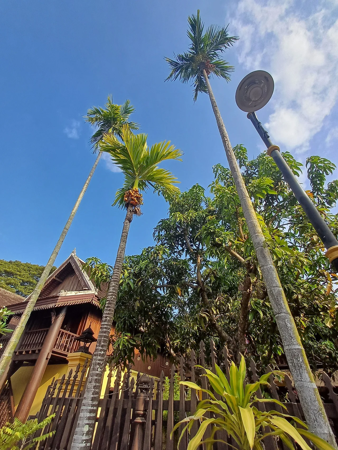 20241221_092117.jpg?type=w1600