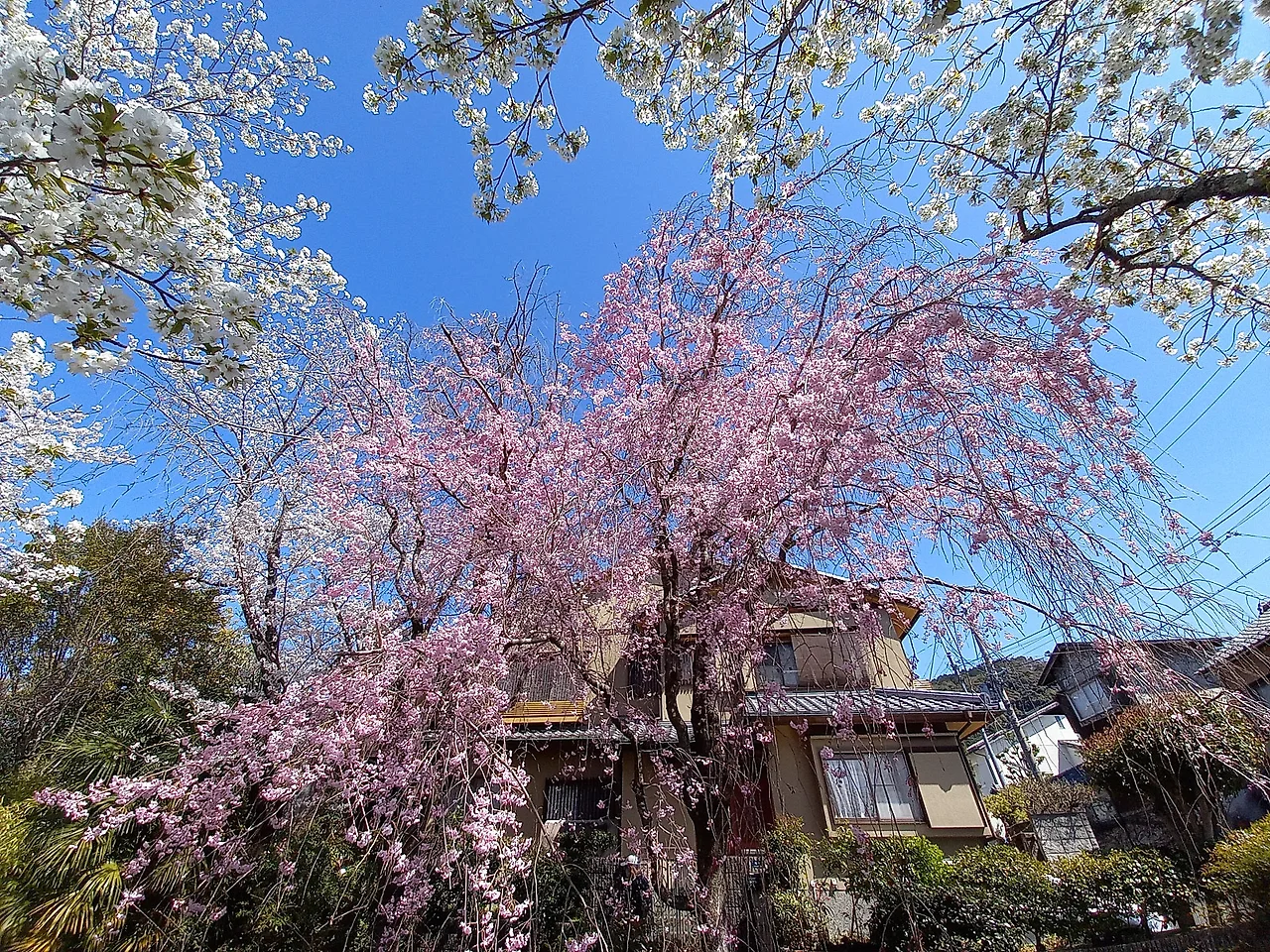 20230328_131556.jpg?type=w1600