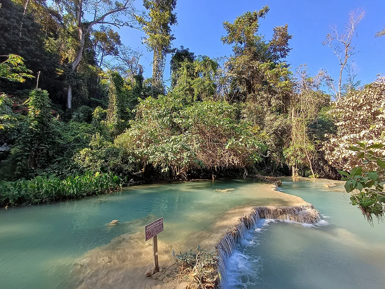 20250101_141141.jpg?type=w1600