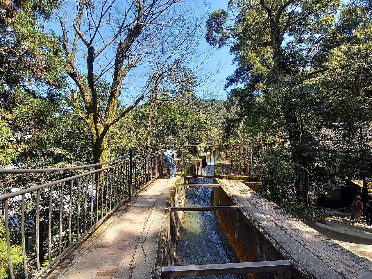 20230328_115904.jpg?type=w1600