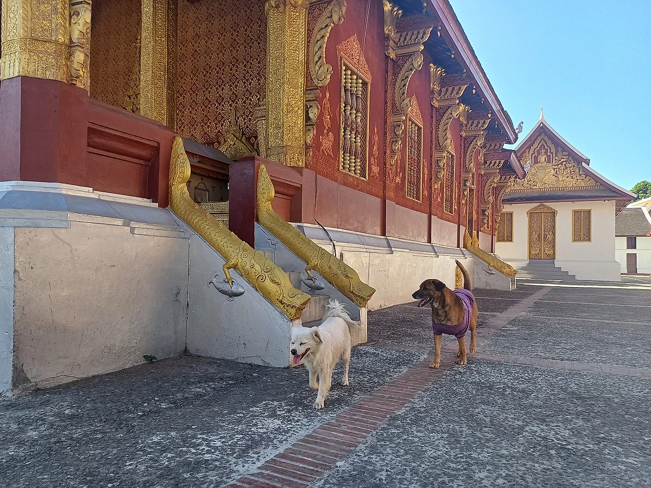 20241227_114734.jpg?type=w1600