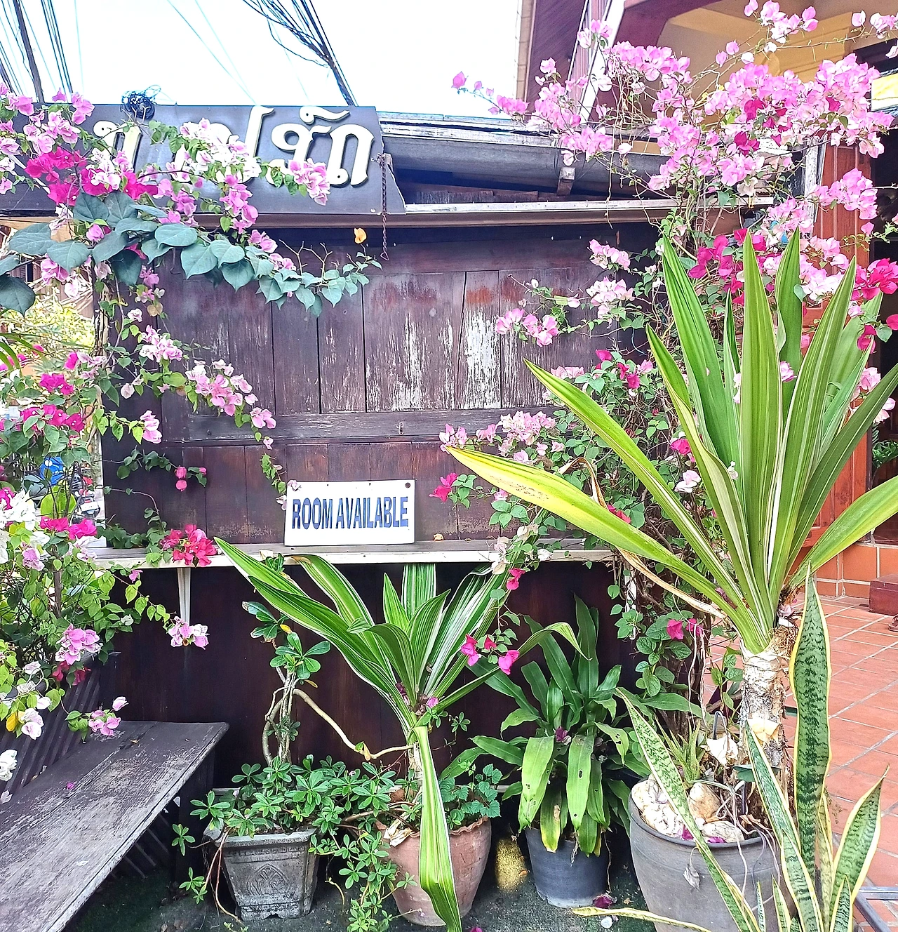 20241224_153157.jpg?type=w1600