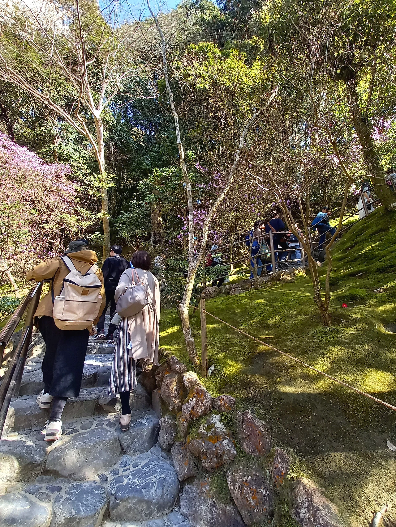 20230328_142650.jpg?type=w1600