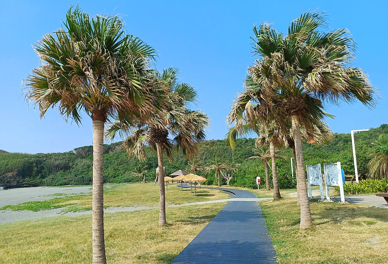 SE-9a701360-a9c9-4d37-b549-3dbc16506f0e.jpg?type=w1600