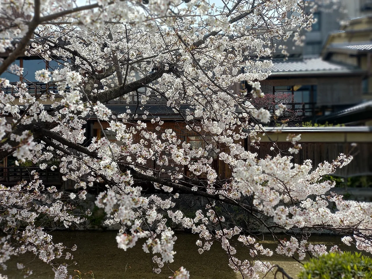 20230327_120921.jpg?type=w1600