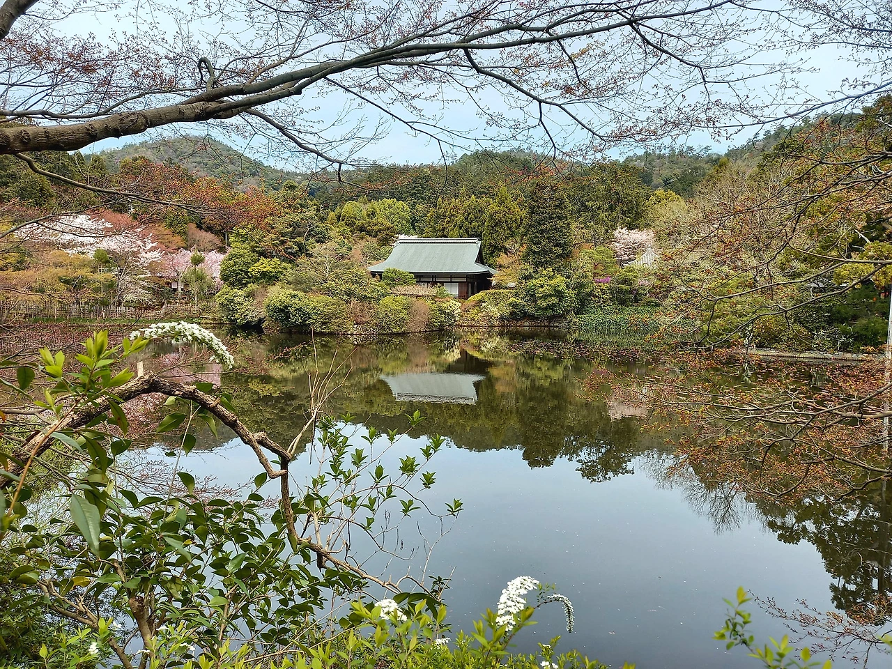 20230331_112120.jpg?type=w1600