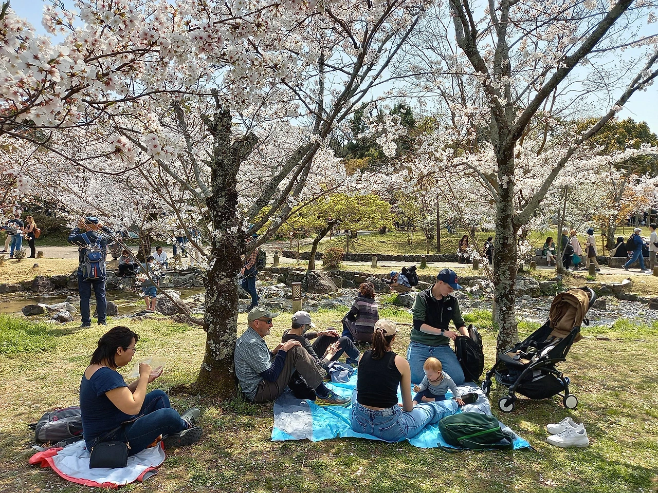 20230330_125711.jpg?type=w1600