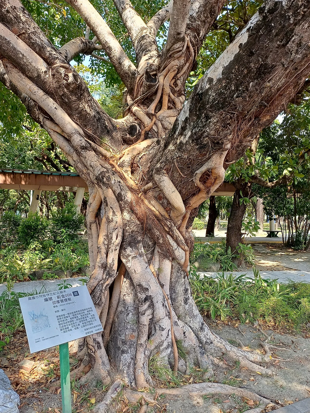 20231102_120637.jpg?type=w1600