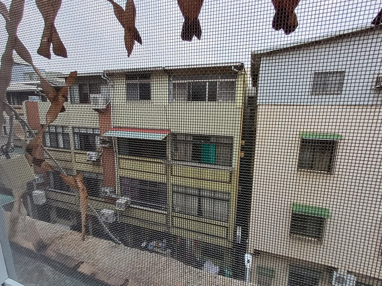 20231018_161712.jpg?type=w1600