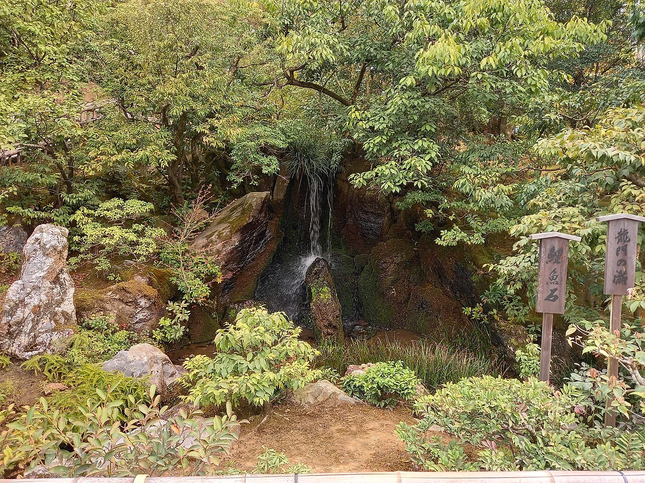 20230331_094207.jpg?type=w1600