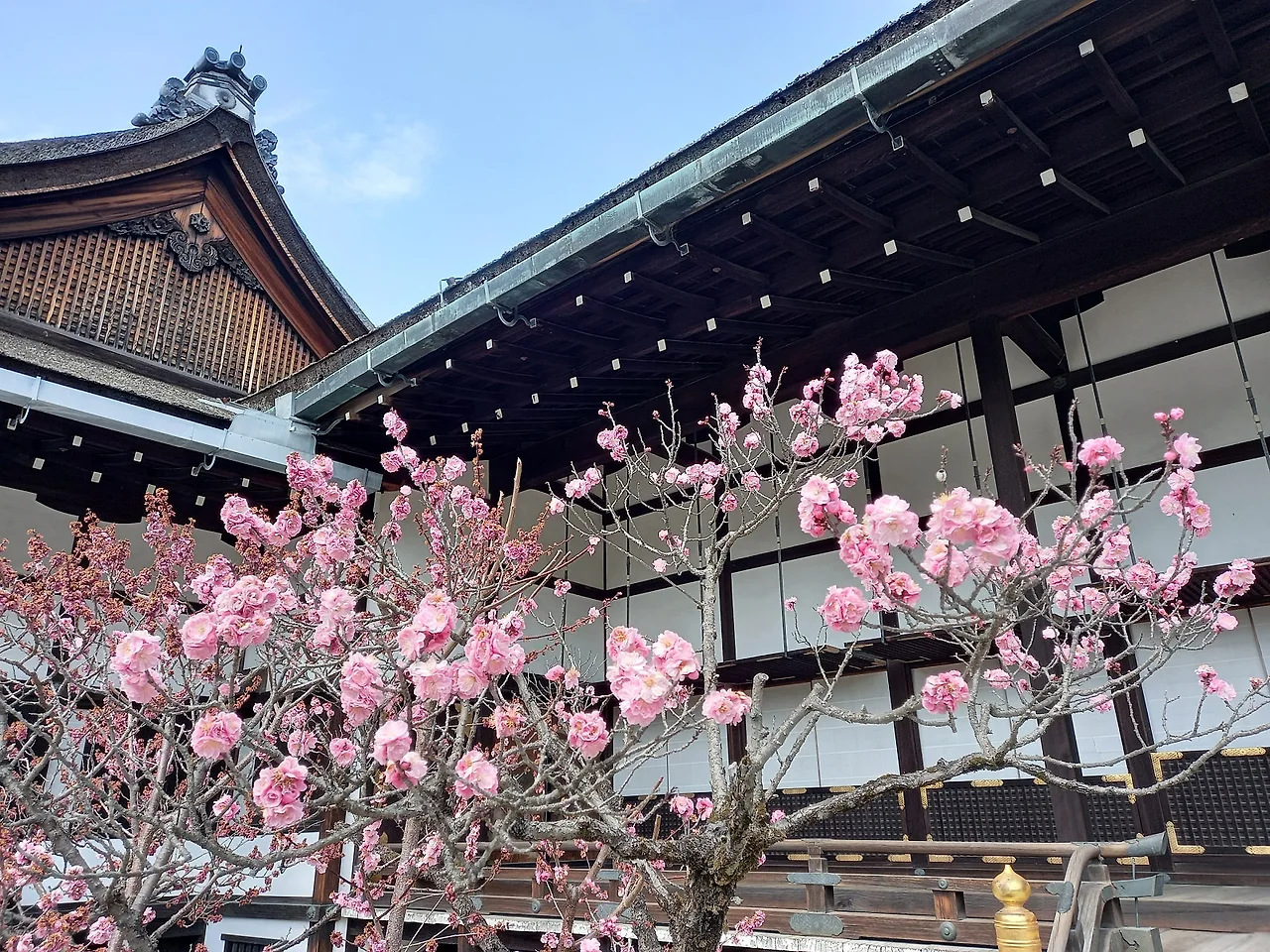 20230316_112903.jpg?type=w1600