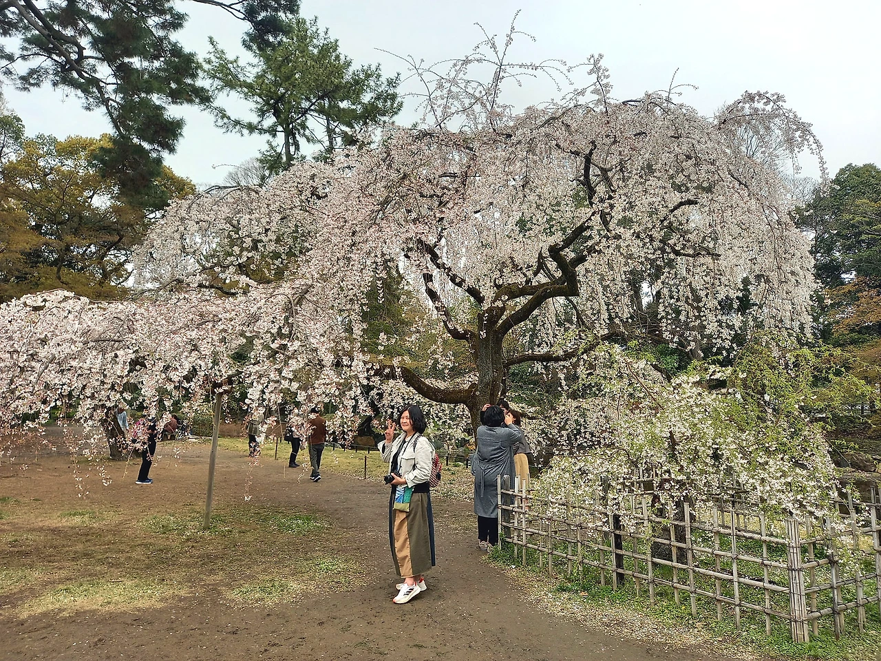 20230325_140824.jpg?type=w1600