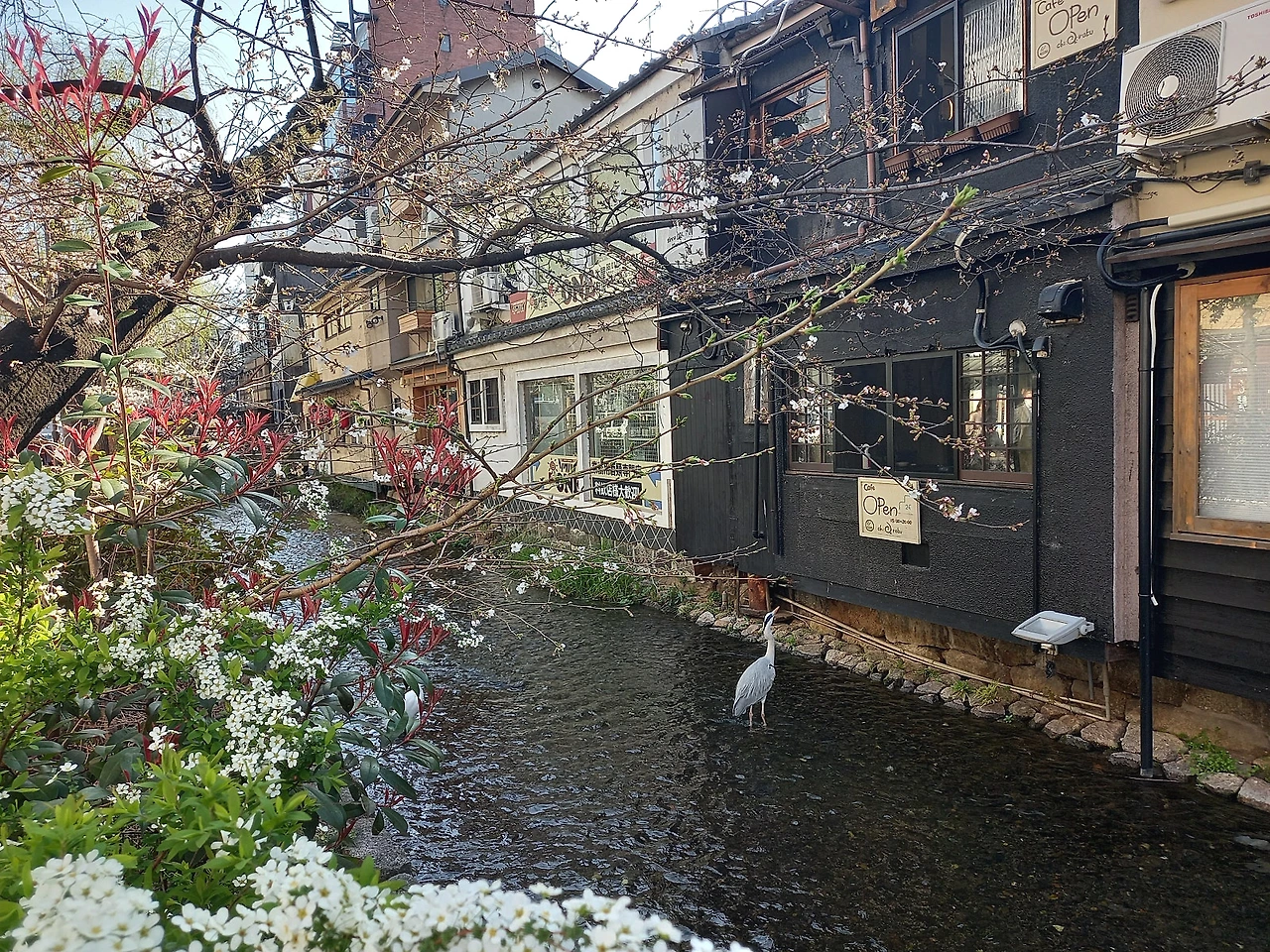 20230322_151843.jpg?type=w1600