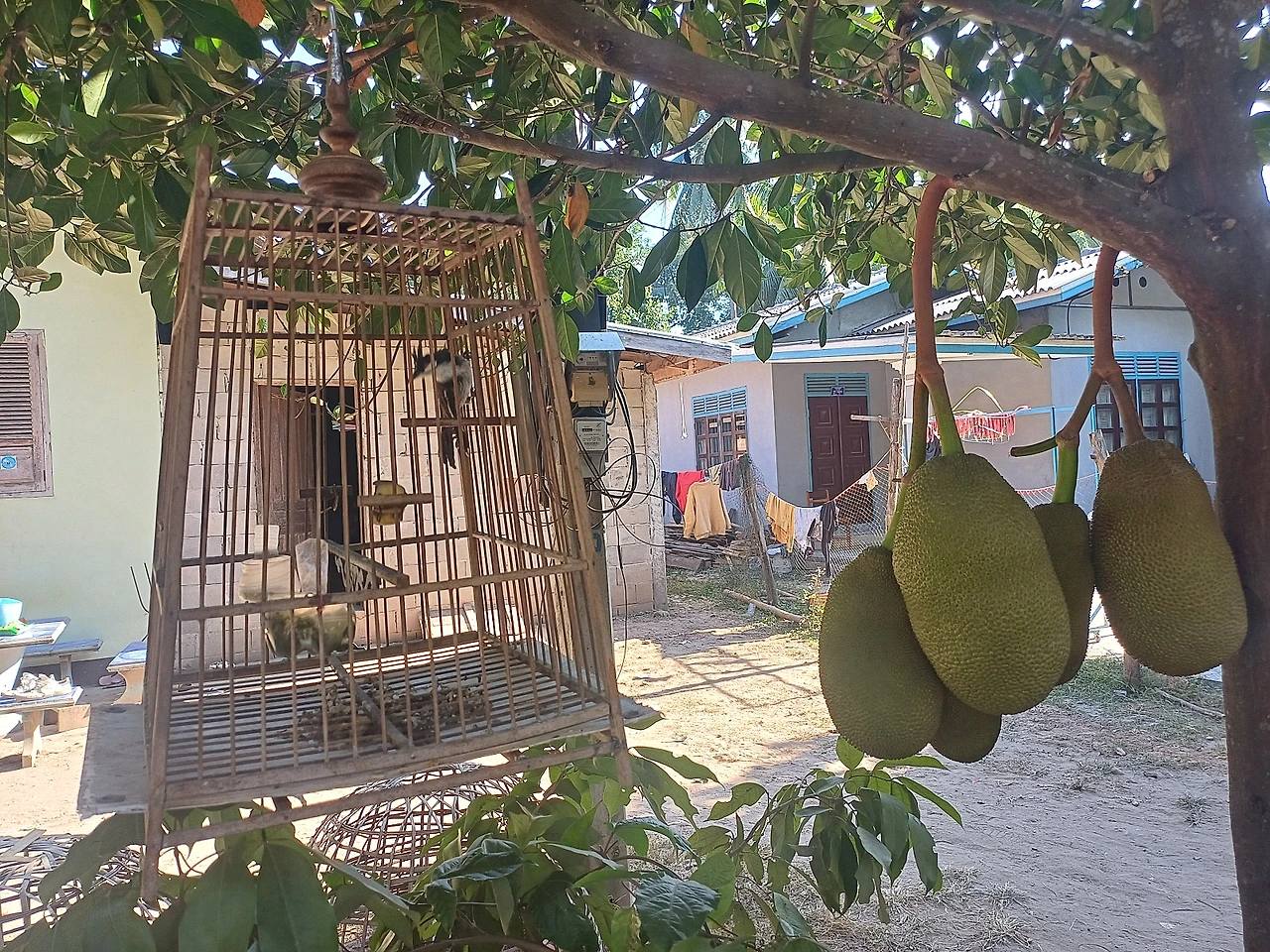 20241226_144628.jpg?type=w1600