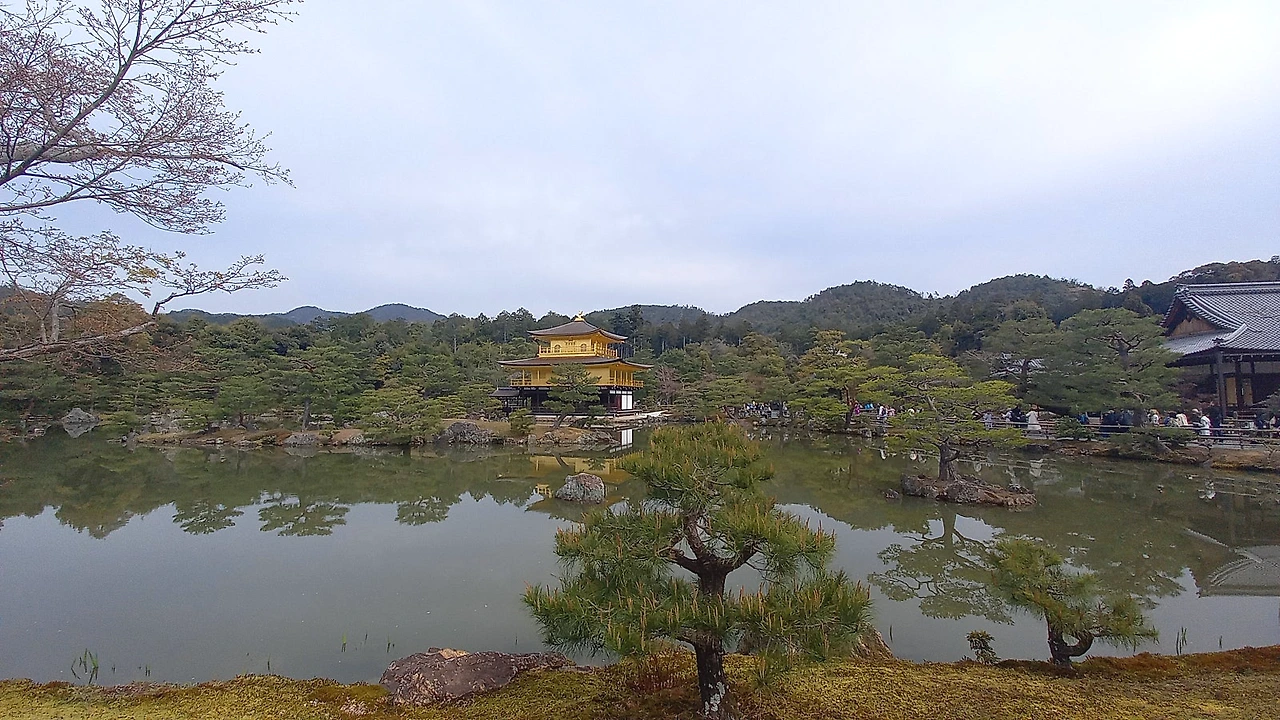 20230331_092613.jpg?type=w1600