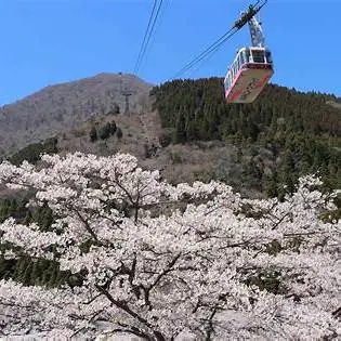 OIP.xypoknHorFYllzBrG_ZngQHaE7?cb=ucfimg2&ucfimg=1&w=474&h=474&c=7&p=0