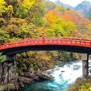 OIP.8Tu2xdeK8Fz-bfdnrxe-ZAHaE8?cb=ucfimg2&ucfimg=1&w=474&h=474&c=7&p=0