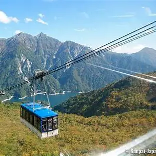 OIP.AmCyy8g9YTyBaL6ghi8RDwHaE5?cb=ucfimg2&ucfimg=1&w=474&h=474&c=7&p=0