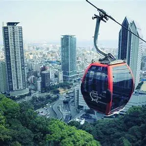 OIP.wpyqCn6HXK1KsTJi1tFcPAHaEq?cb=ucfimg2&ucfimg=1&w=474&h=474&c=7&p=0